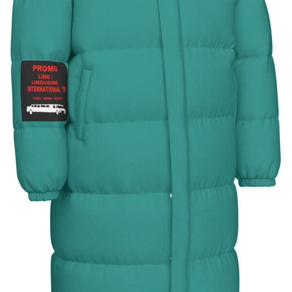 253574-d5e3cbf1-77b8-4e0b-a514-ee70cc34942d.jpeg TEAL / RED LIMO L # 602