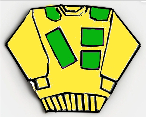 prototype sweatshirt 18 LIMO /LIMOUSINE INTERNATIONAL TM- LEATHER SWEAT SHIRT- YELLOW /GREEN- #LS 14A