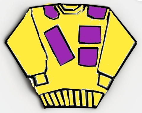 prototype sweatshirt 20 LIMO /LIMOUSINE INTERNATIONAL TM- LEATHER SWEAT SHIRT-YELLOW/PURPLE #LS 17A
