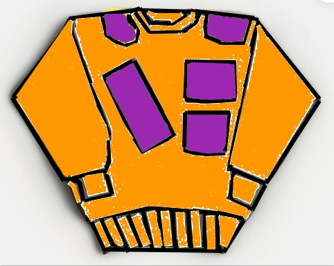 prototype sweatshirt 21 LIMO /LIMOUSINE INTERNATIONAL TM- LEATHER SWEAT SHIRT -ORANGE/PURPLE-#LS 16A