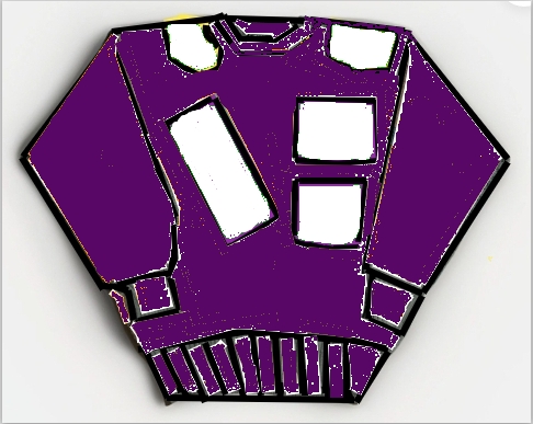 prototype sweatshirt 29 LIMO /LIMOUSINE INTERNATIONAL TM-LEATHER SWEAT SHIRT -PURPLE/WHITE #LS28A